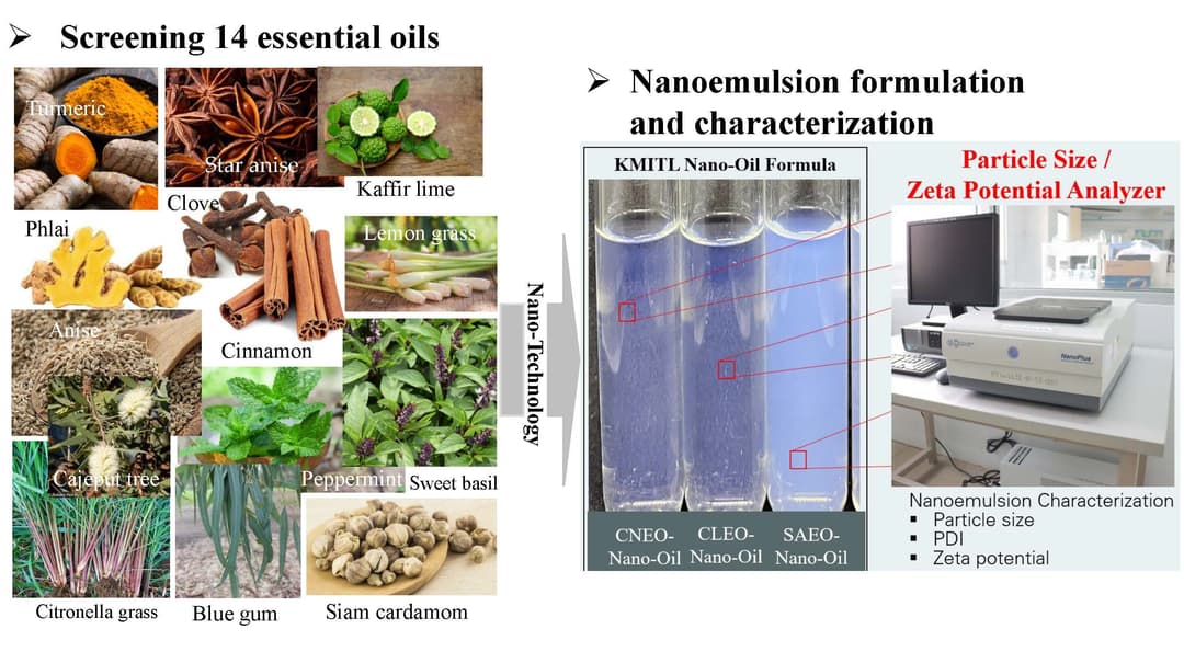 KMITL Nano-Oil: Innovation of Nano Essential Oil Formulations for Termite Control