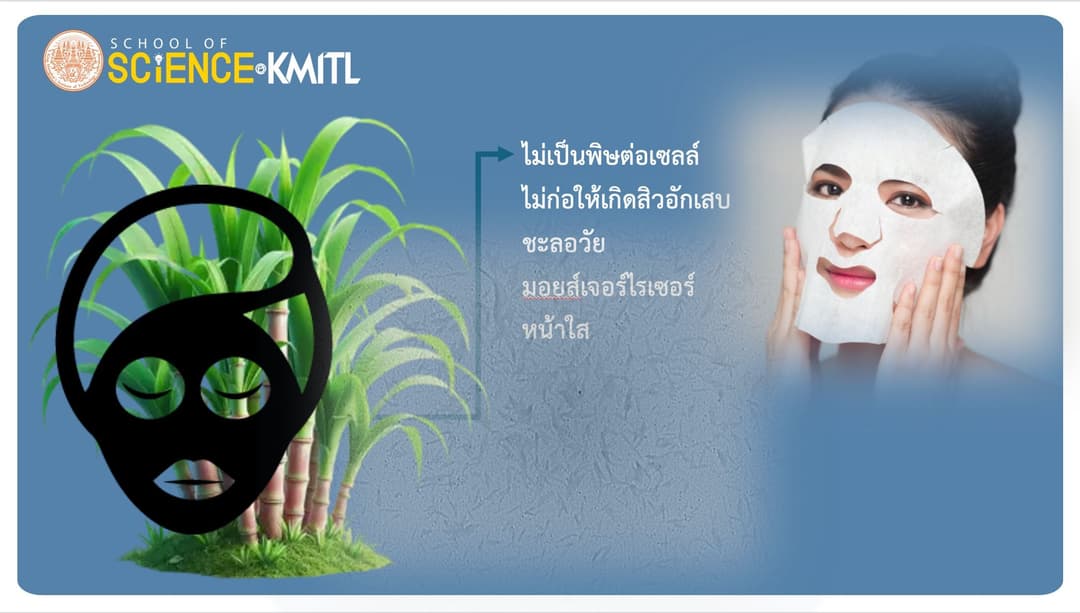 นวัตกรรมนาโนเซลลูโลสสู่อุตสาหกรรมความงาม