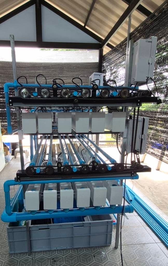 การพัฒนาระบบการเลี้ยงปลากัดเกรดพรีเมี่ยมแนวตั้งแบบ Zero waste