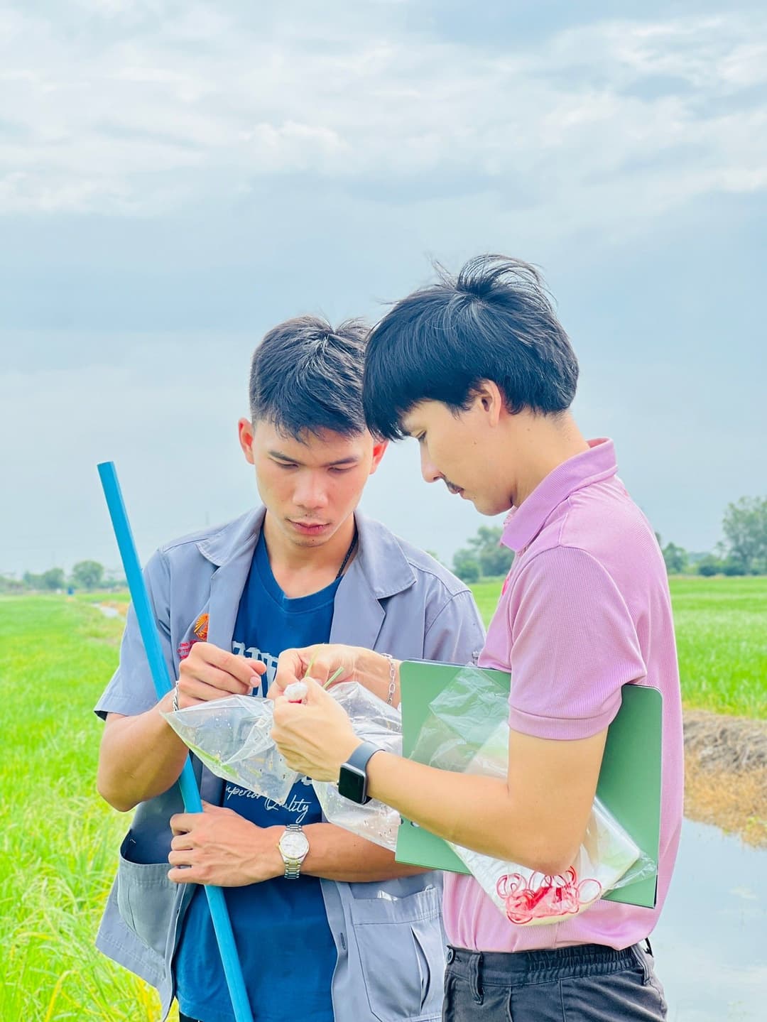 ต้นทุน ผลตอบแทนการปลูกข้าวโดยใช้สารเคมีและการปลูกข้าวโดยใช้สารชีวภัณฑ์ร่วมกับสารเคมีของเกษตรกร ตำบลบางพลีน้อย อำเภอบางบ่อ จังหวัดสมุทรปราการ