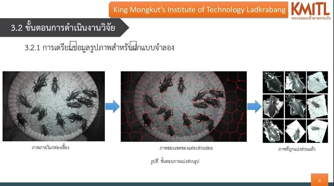 ระบบอัตโนมัติสำหรับติดตามการเจริญเติบโตของจิ้งหรีดด้วยกล้องอินฟาเรด