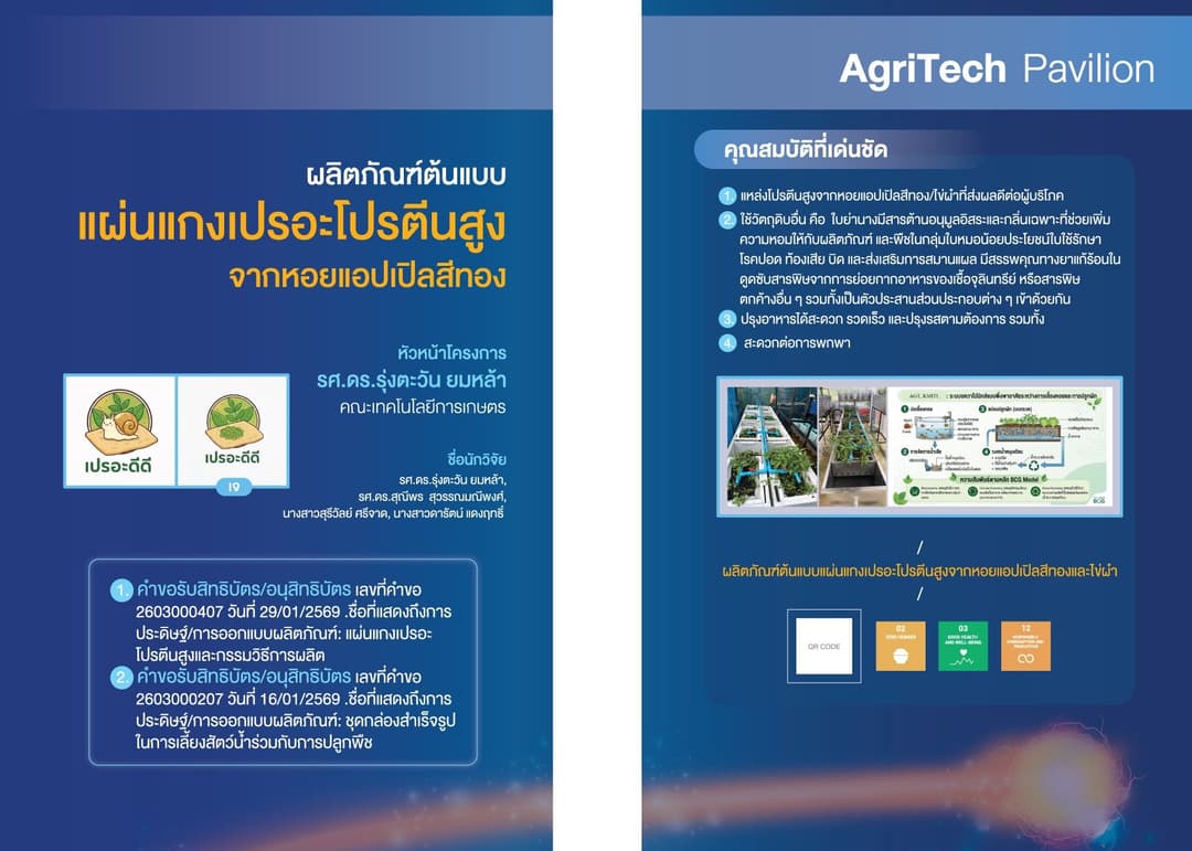 ผลิตภัณฑ์ต้นแบบแผ่นแกงเปรอะโปรตีนสูงจากหอยแอปเปิลสีทองอินทรีย์