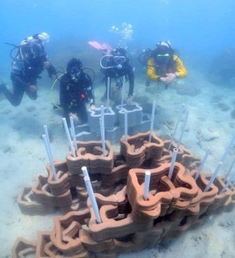 The Designing of 3D-Printed Modular Artificial Reef through Design Thinking Framework: A Case study in Koh Khai, Chumphon Province, Thailand
