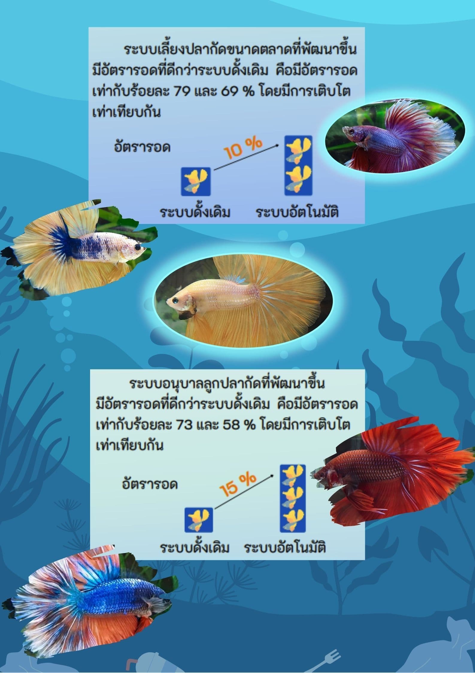 The development of precision automation system for Siamese fighting fish (Betta splendens)