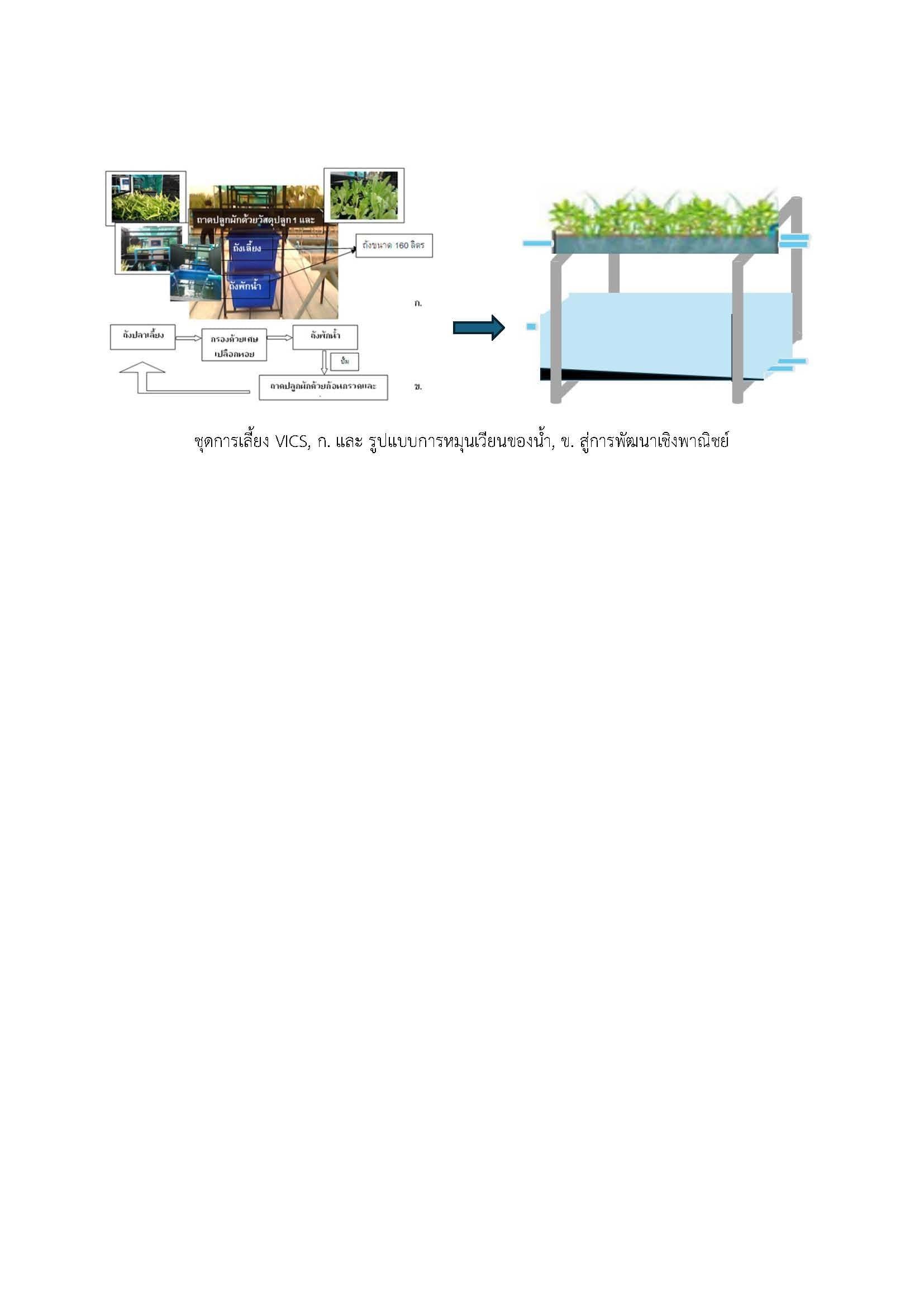 Innovation in commercial vertical set of golden apple snails  as environmentally friendly using an aquaponics system