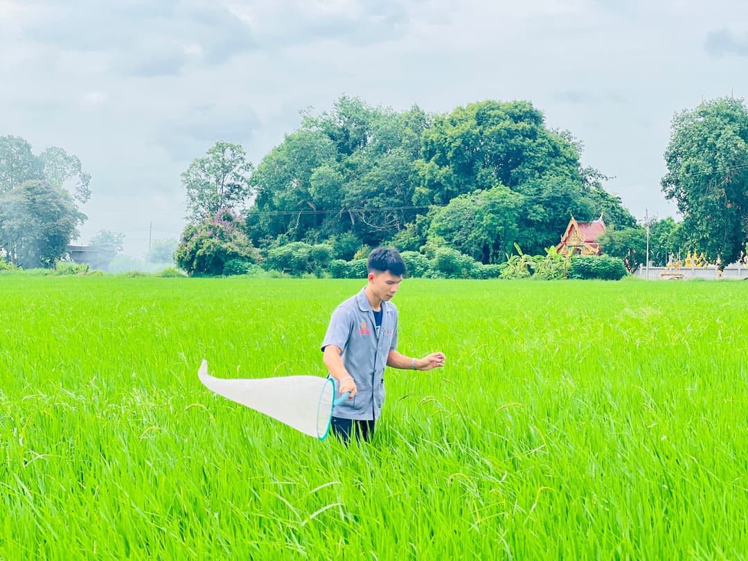 ต้นทุน ผลตอบแทนการปลูกข้าวโดยใช้สารเคมีและการปลูกข้าวโดยใช้สารชีวภัณฑ์ร่วมกับสารเคมีของเกษตรกร ตำบลบางพลีน้อย อำเภอบางบ่อ จังหวัดสมุทรปราการ