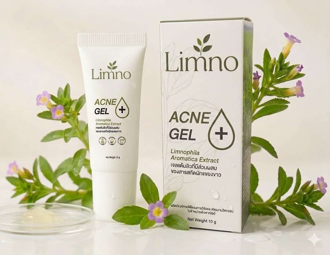 Limno Acne Gel: เจลแต้มสิวผักแขยงขาว สยบวงจรเชื้อสิวด้วยพลังจากธรรมชาติ