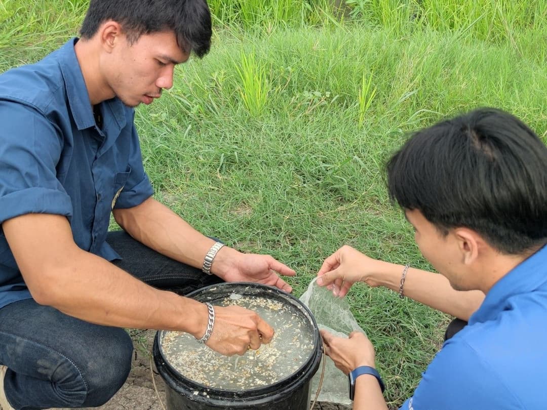 ต้นทุน ผลตอบแทนการปลูกข้าวโดยใช้สารเคมีและการปลูกข้าวโดยใช้สารชีวภัณฑ์ร่วมกับสารเคมีของเกษตรกร ตำบลบางพลีน้อย อำเภอบางบ่อ จังหวัดสมุทรปราการ