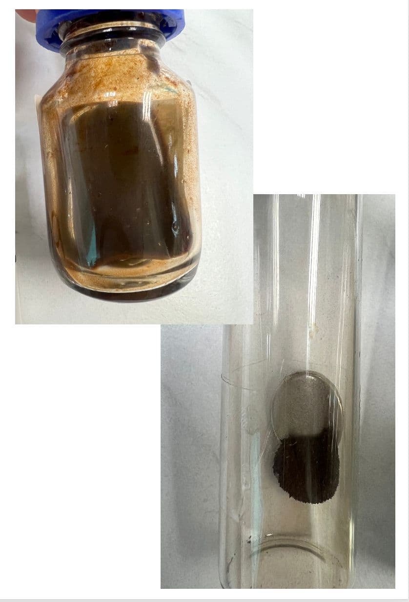 Superparamagnetic iron oxide nanoparticles for pesticide adsorption