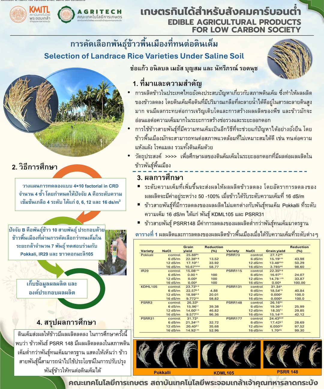 การคัดเลือกพันธุ์ข้าวพื้นเมืองที่ทนต่อดินเค็ม