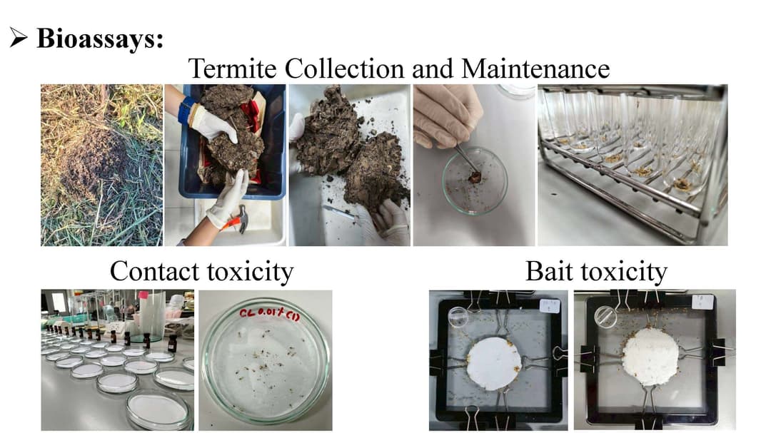 KMITL Nano-Oil: Innovation of Nano Essential Oil Formulations for Termite Control