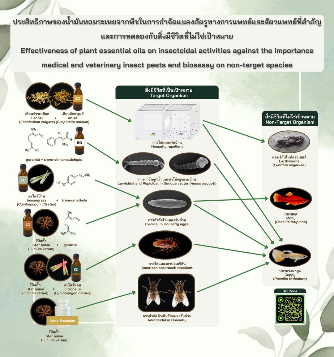 ประสิทธิภาพของน้ำมันหอมระเหยจากพืชในการกำจัดแมลงศัตรูทางการแพทย์และสัตวแพทย์ที่สำคัญ และการทดลองกับสิ่งมีชีวิตที่ไม่ใช่เป้าหมาย
