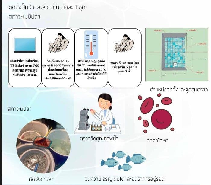การเปรียบเทียบประสิทธิภาพของหัวสร้างออกซิเจนชนิดนาโนกับขนาดกำลังปั๊มที่ต่างกันในบ่ออนุบาลปลากะพง