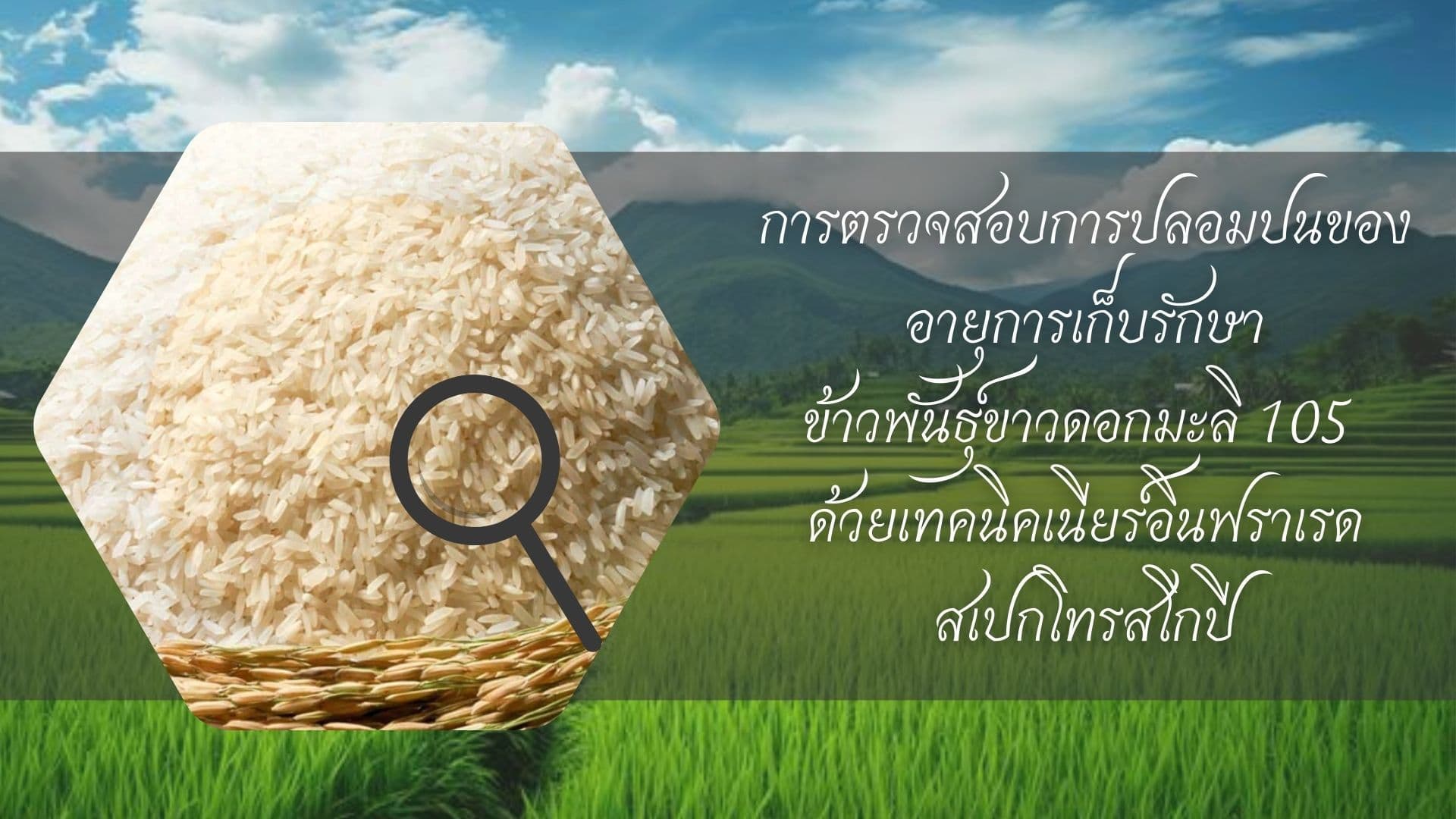 การตรวจสอบการปลอมปนของอายุการเก็บรักษาข้าวพันธุ์ขาวดอกมะลิ 105  ด้วยเทคนิคเนียร์อินฟราเรดสเปกโทรสโกปี