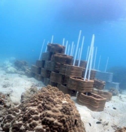 The Designing of 3D-Printed Modular Artificial Reef through Design Thinking Framework: A Case study in Koh Khai, Chumphon Province, Thailand