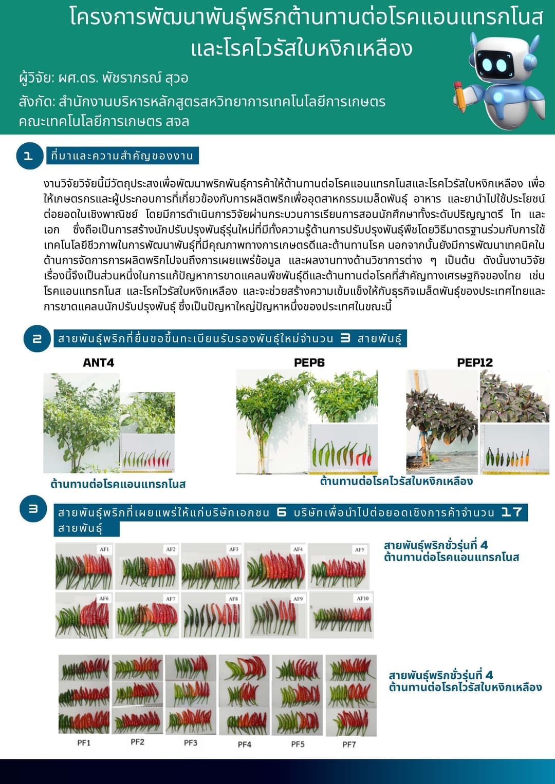 พริกสายพันธุ์ใหม่ต้านทานโรคแอนแทรกโนสและไวรัสใบหงิกเหลือง และเผ็ดสูง