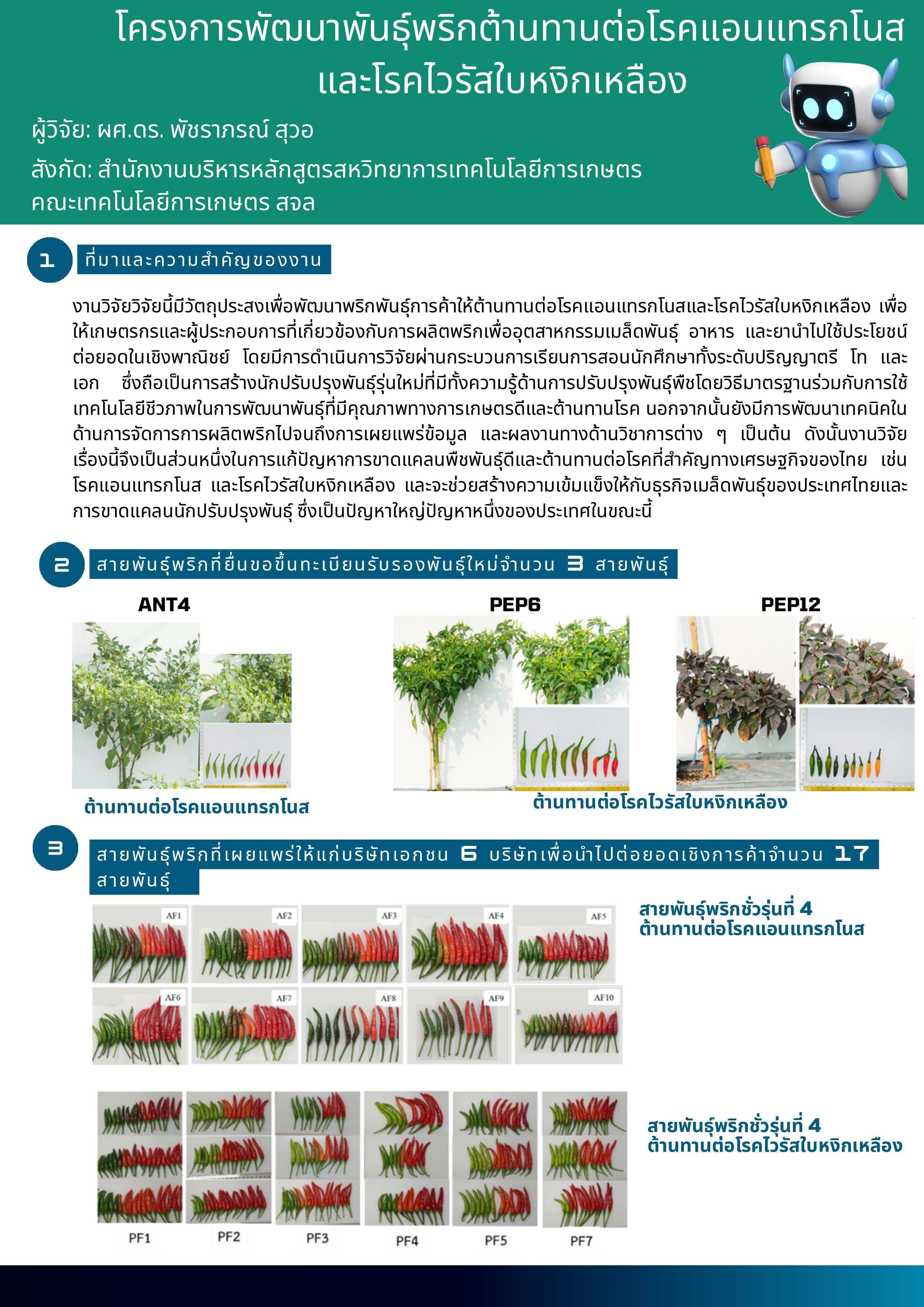 New chili varieties resistant to anthracnose and Pepper yellow leaf curl diseases  and high pungency