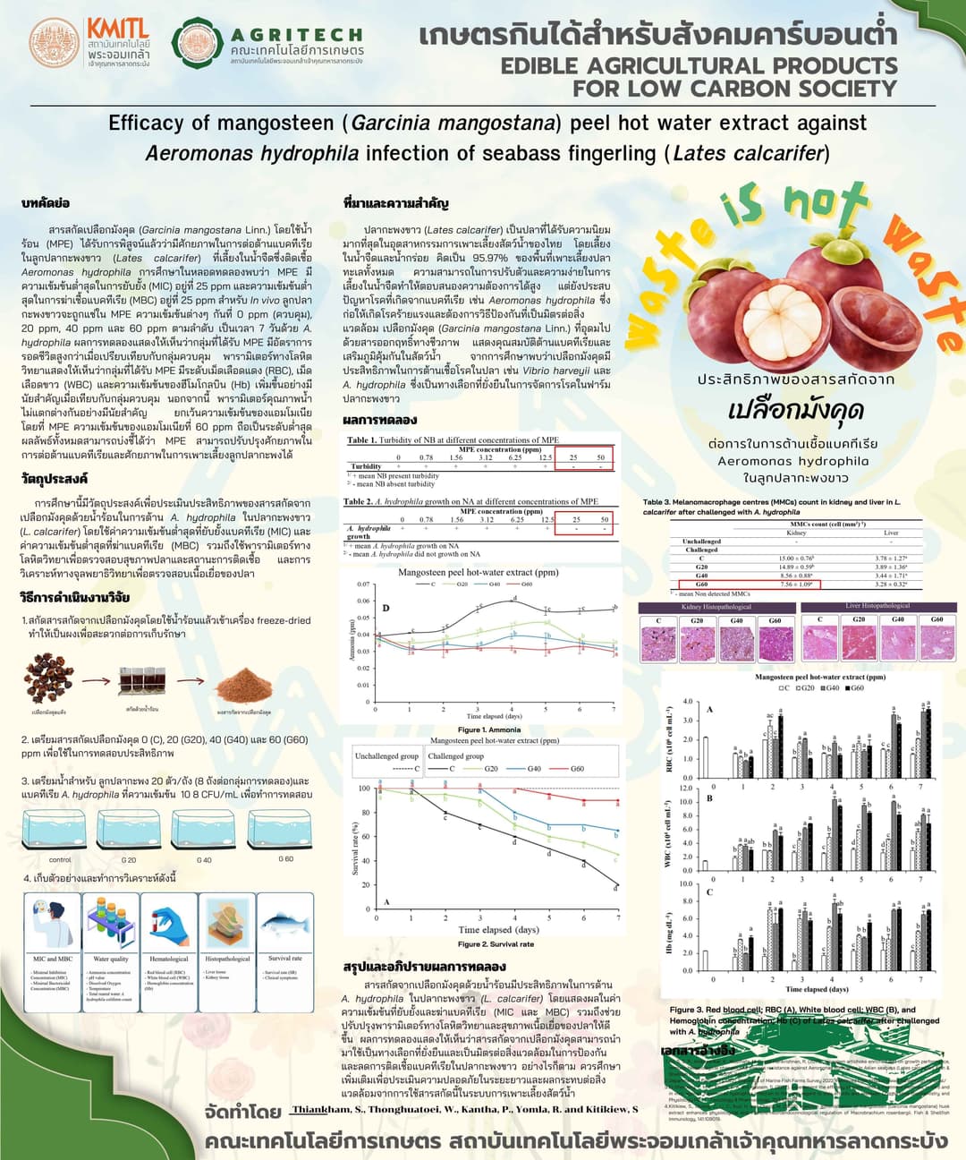 ประสิทธิภาพของเปลือกมังคุด (Garcinia mangostana) สกัดน้ำร้อนเพื่อต่อต้านการติดเชื้อ Aeromonas hydrophila ในปลากะพงขาว (Lates calcarifer)