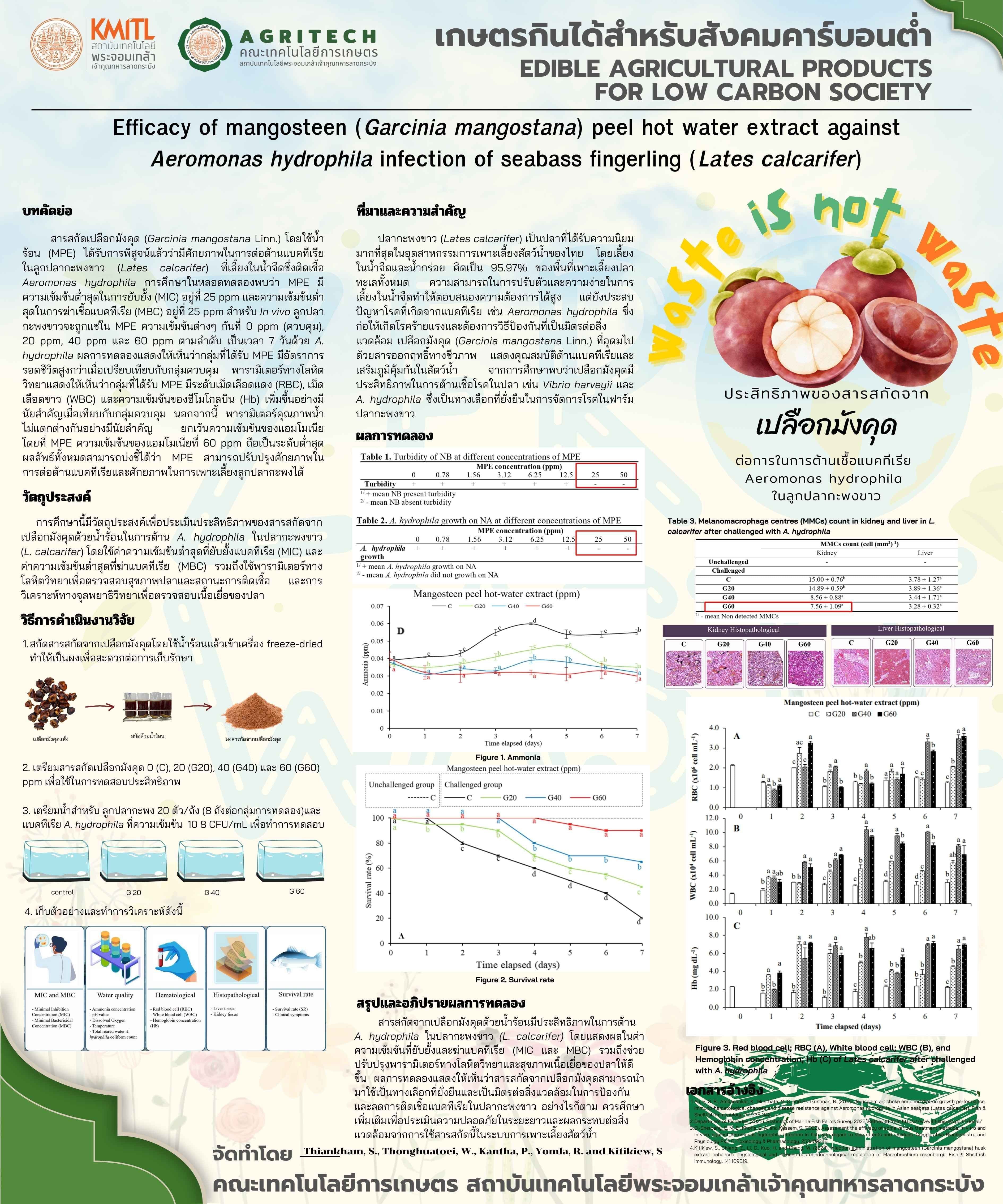 ประสิทธิภาพของเปลือกมังคุด (Garcinia mangostana) สกัดน้ำร้อนเพื่อต่อต้านการติดเชื้อ Aeromonas hydrophila ในปลากะพงขาว (Lates calcarifer)