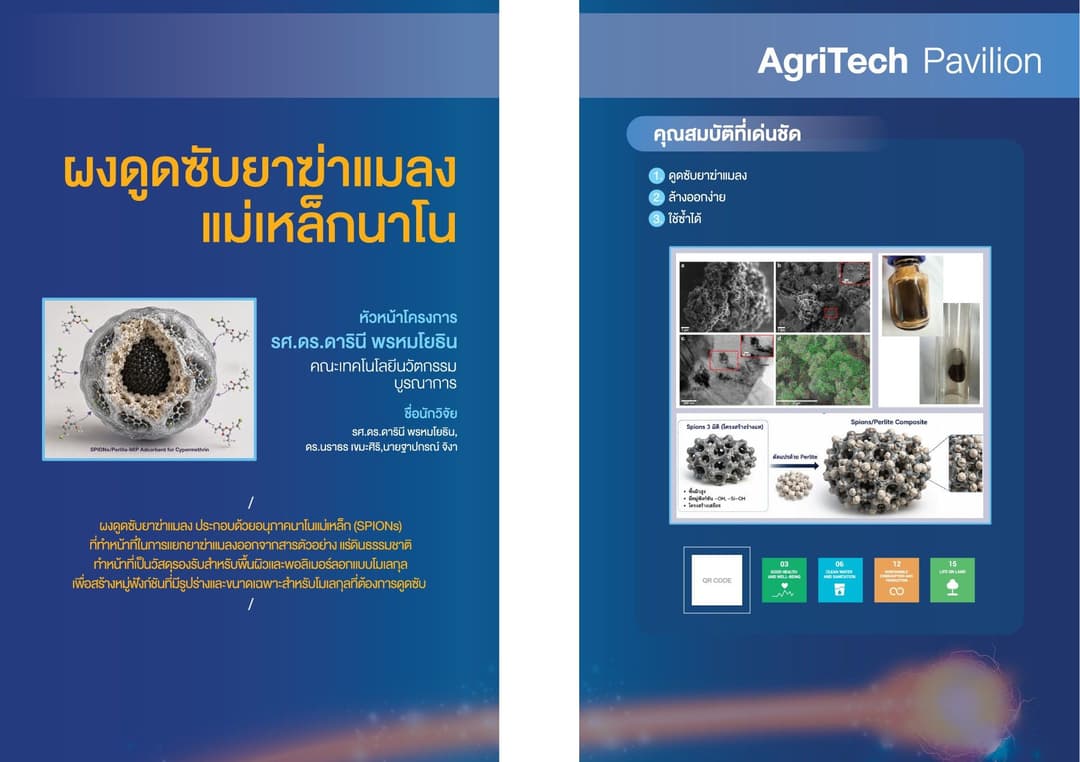 Superparamagnetic iron oxide nanoparticles for pesticide adsorption