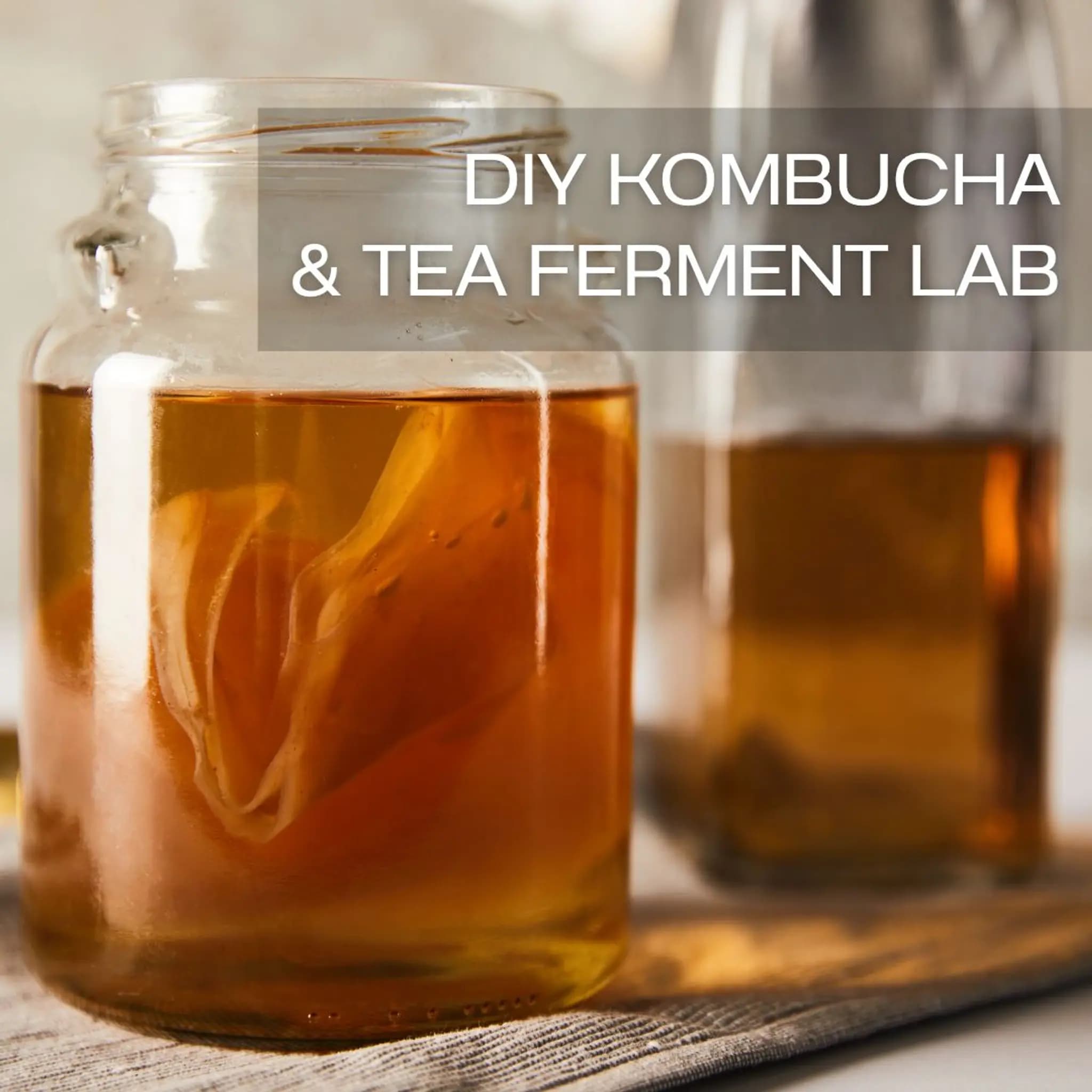DIY Kombucha & Tea Ferment Lab: ปรุงเอง–ส่องเอง–สร้างสูตรชาหมักสุขภาพ