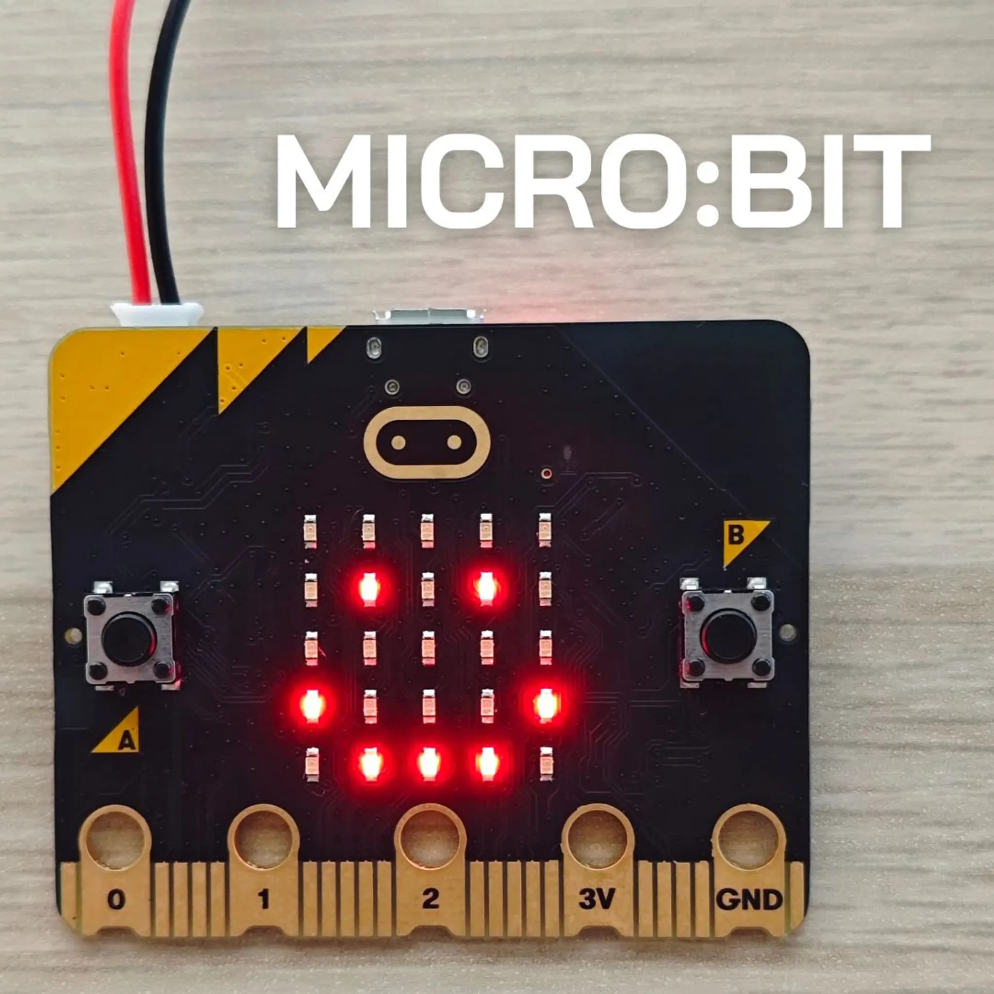 ผลิตของเล่นด้วย micro:bit