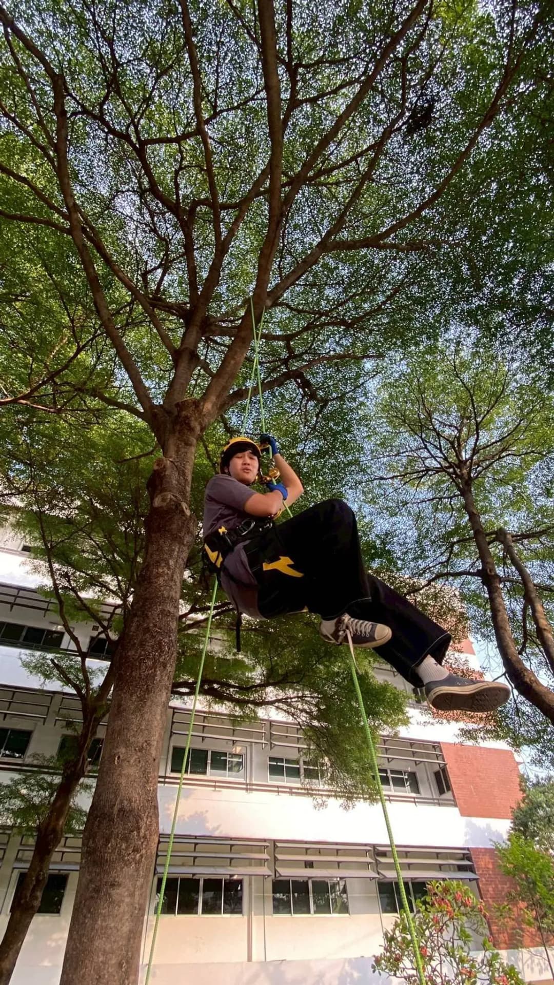 Tree Climbing เปิดประสบการณ์ปีนต้นไม้ใหญ่สไตล์รุกขกร