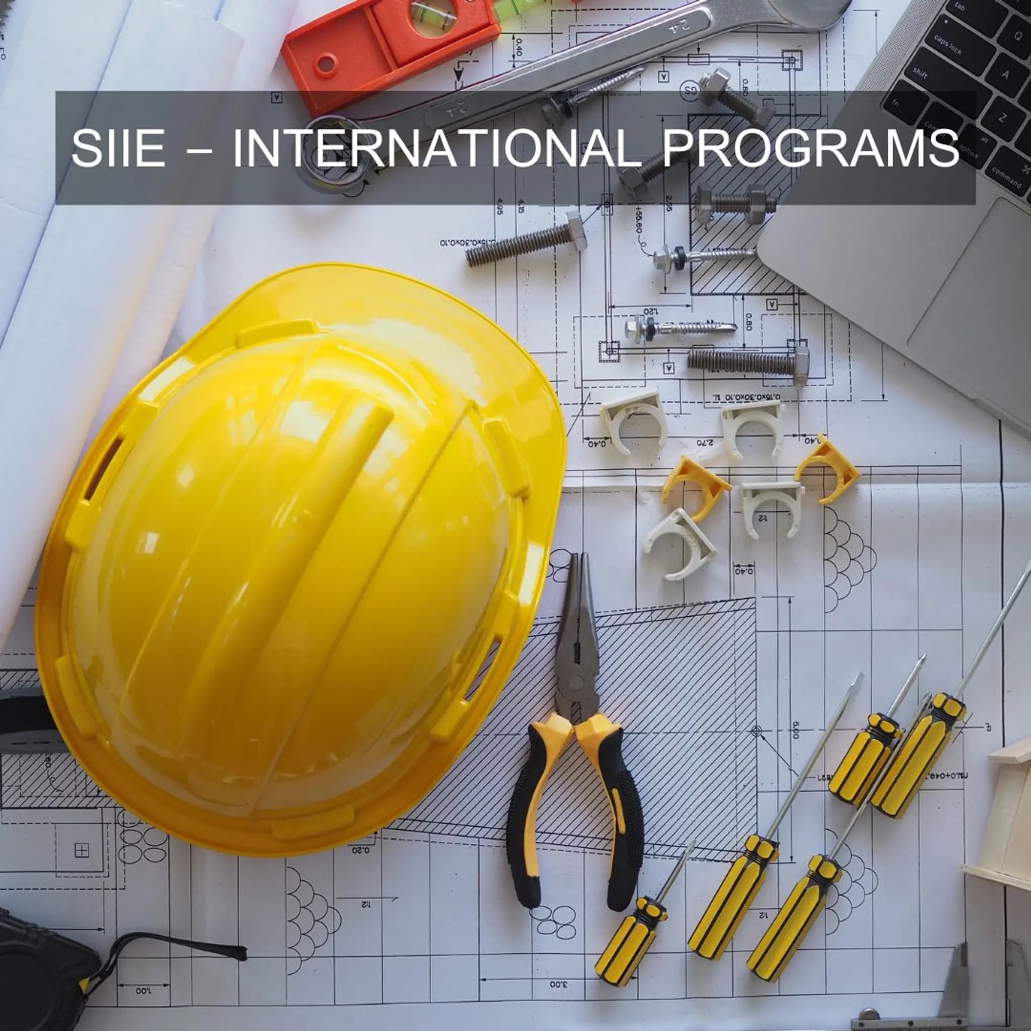 SIIE – International Programs