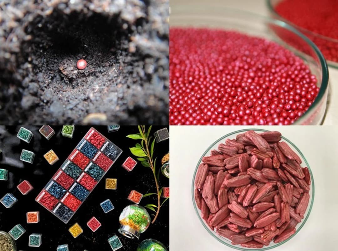 Coat & Grow: นวัตกรรมการเคลือบเมล็ดพันธุ์ >> "เคลือบดี เมล็ดแกร่ง โตแรงตั้งแต่เริ่ม"