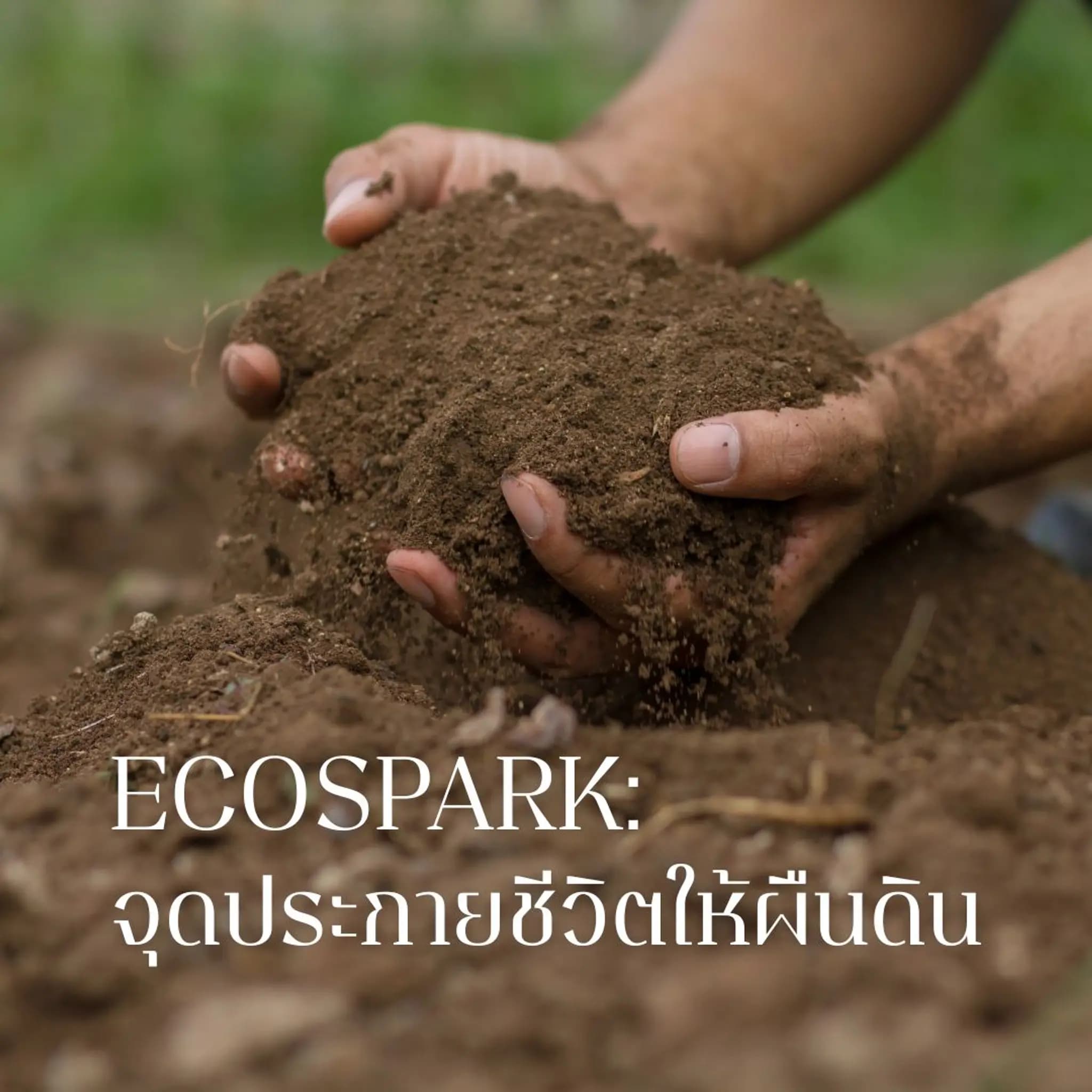 EcoSpark: จุดประกายชีวิตให้ผืนดิน