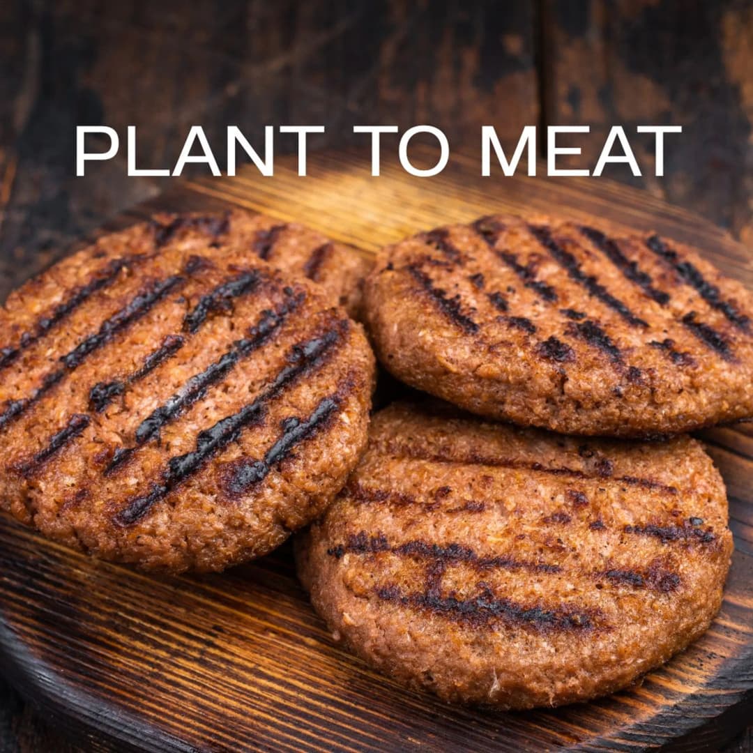 จากพืชสู่เนื้อ: วิทยาศาสตร์โปรตีนทดแทน [Plant to meat: The science of  alternative protein]