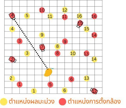 ระบบตรวจจับและระบุตำแหน่งผลมะม่วงแบบสามมิติ
