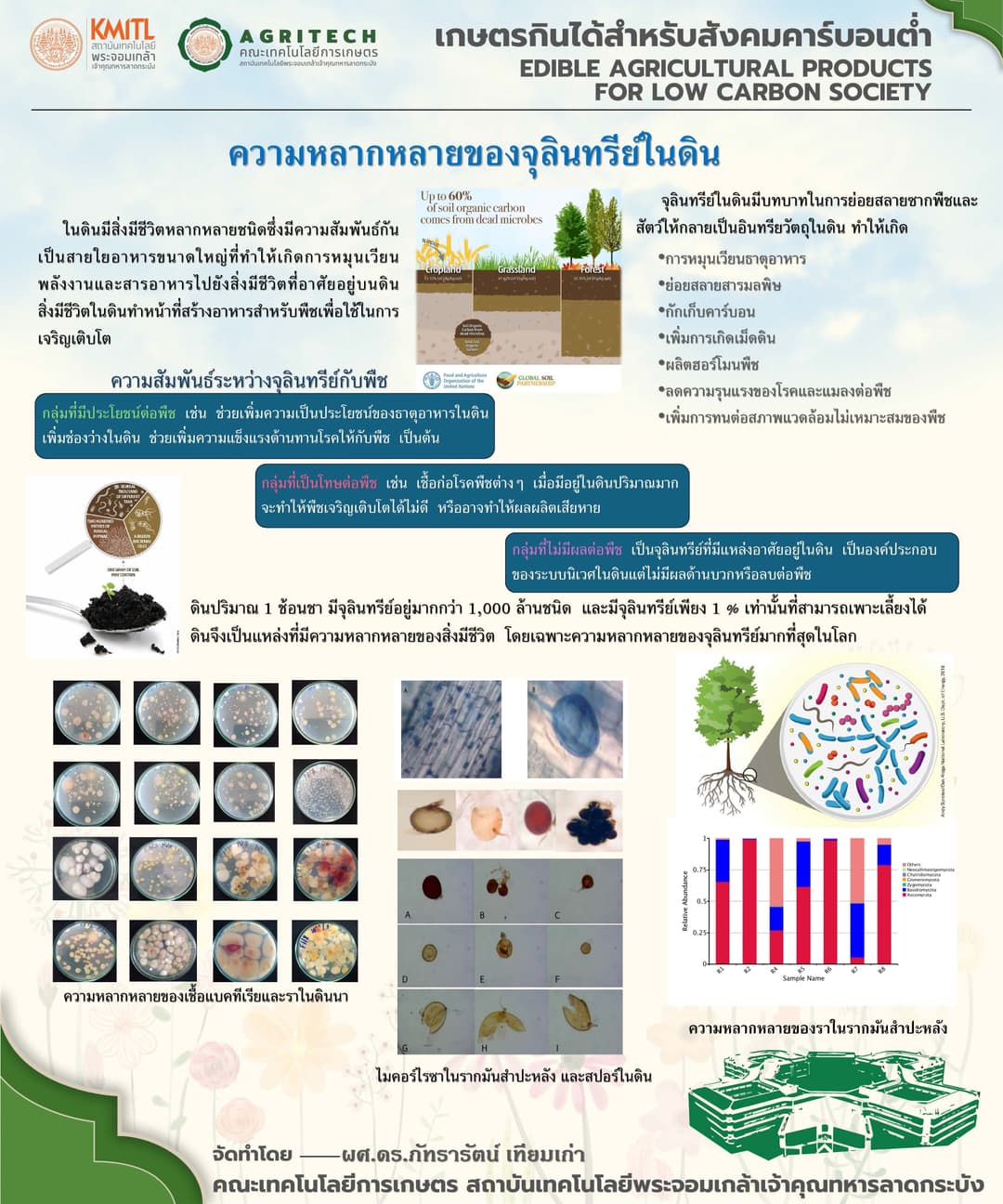 ความหลากหลายของจุลินทรีย์ในดิน