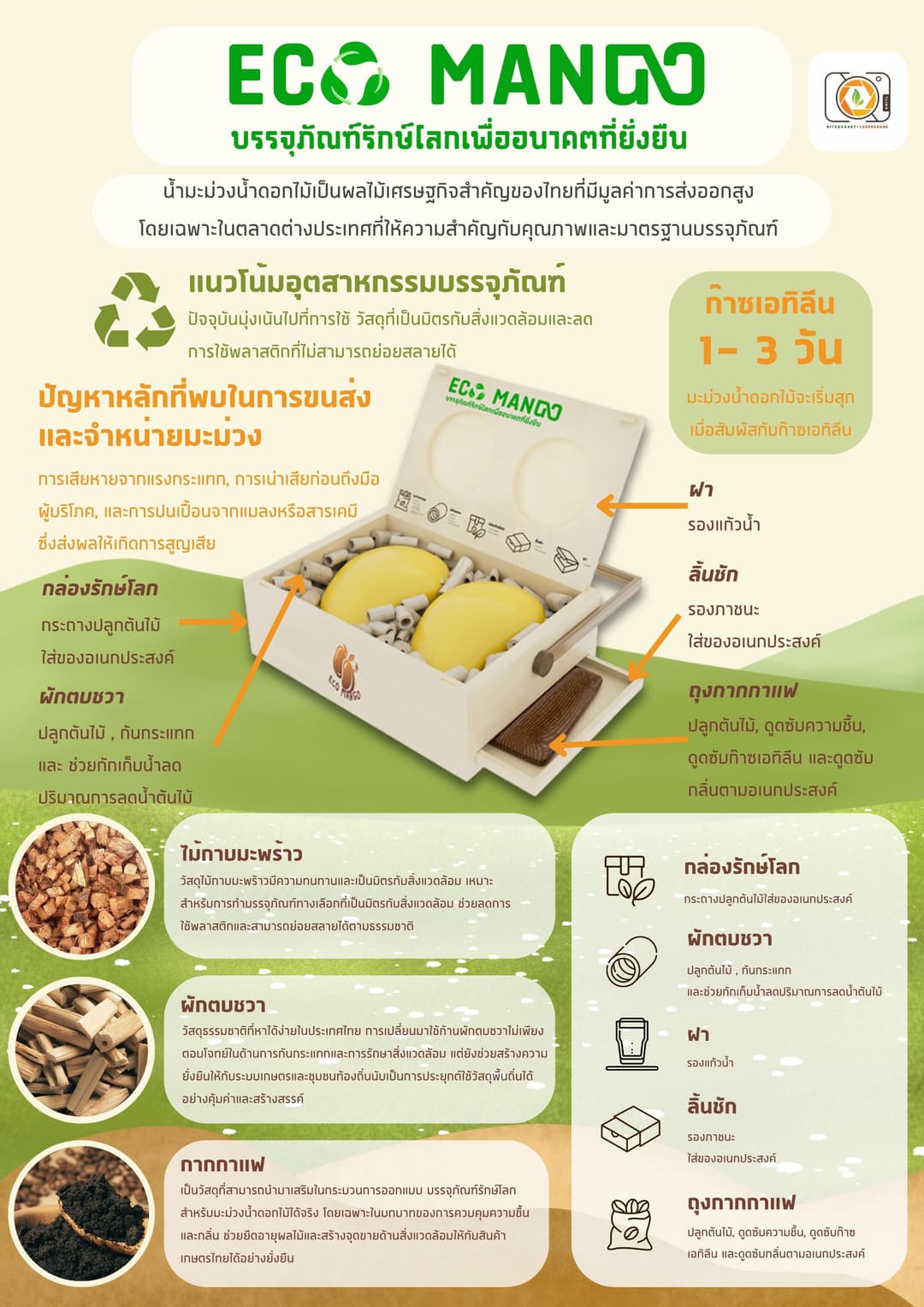 อีโคแมงโก้แพ็ค: บรรจุภัณฑ์มะม่วงรักษ์โลก