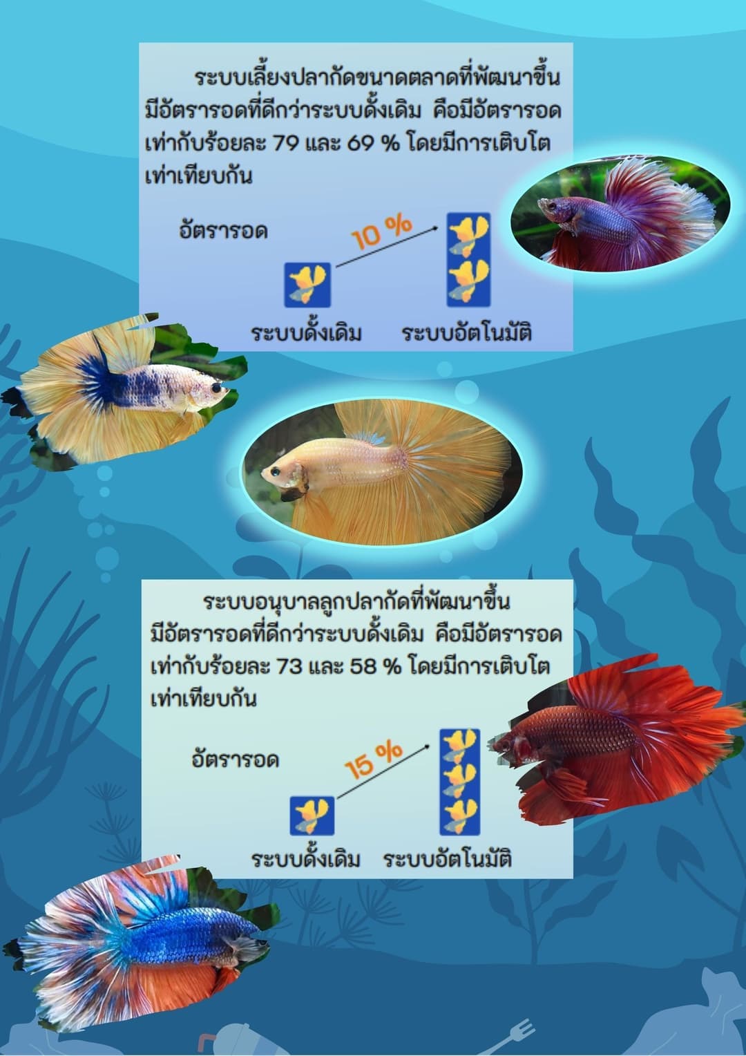 การพัฒนาระบบอัตโนมัติเพื่อการเพาะเลี้ยงปลากัดอย่างแม่นยำ